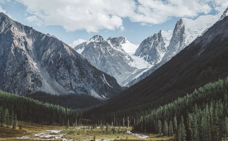 葡萄牙盈利性移民中介